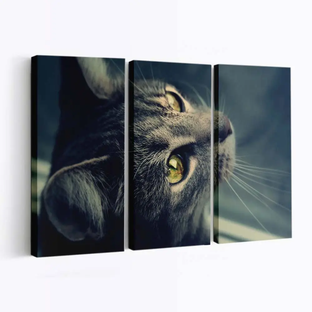 Katze Blickt aus dem Fenster – Katzen Leinwandbild