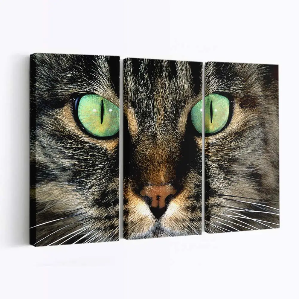 Katze mit Hellgrünen Augen – Katzen Wandbild