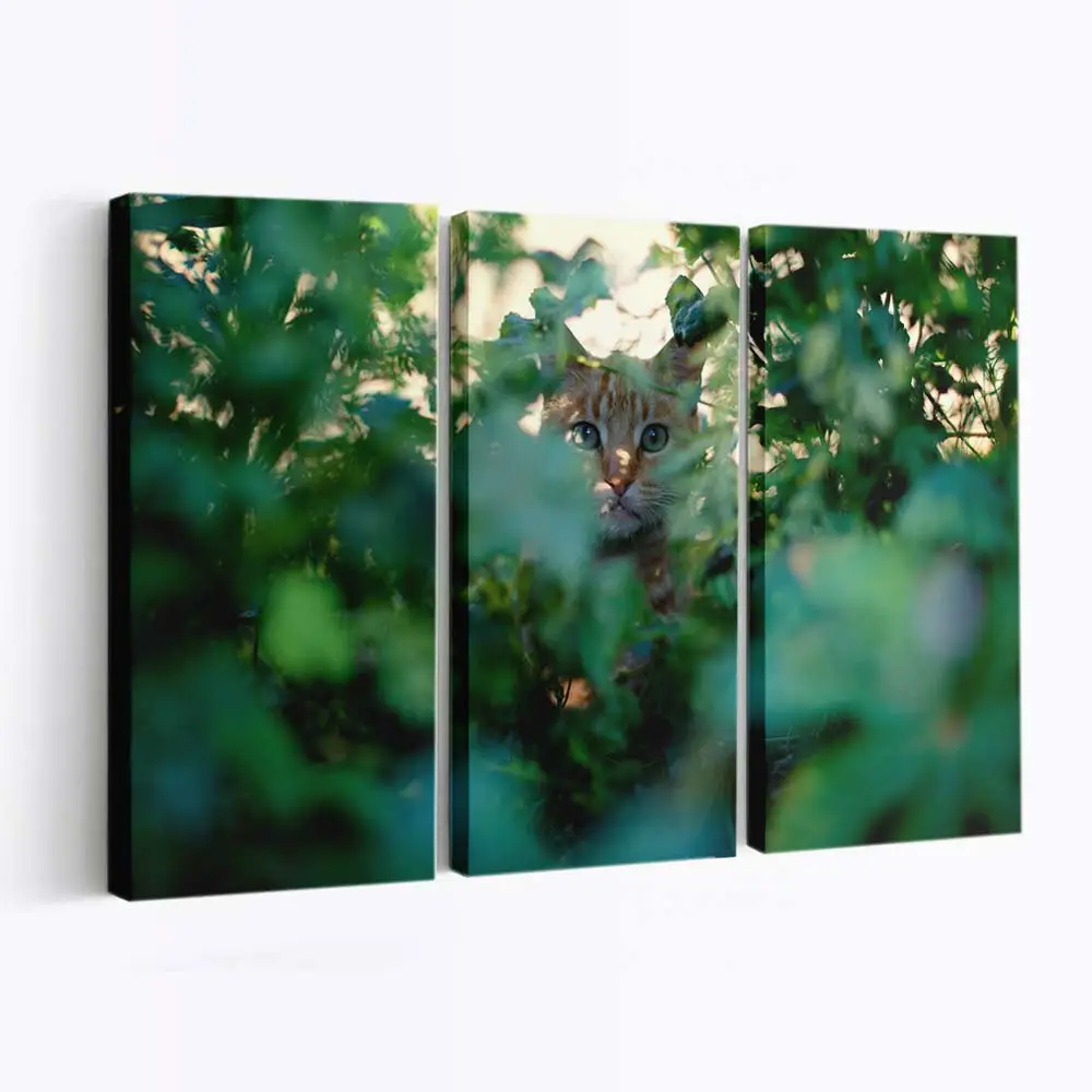Katze Späht Um die Ecke – Katzen Wandbild