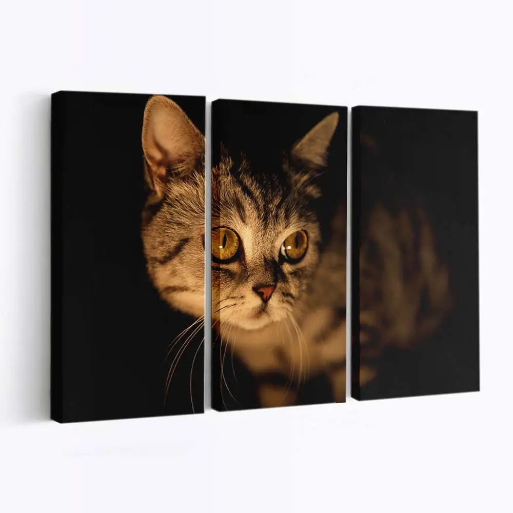 Katze Tritt aus dem Schatten – Katzen Wandbild