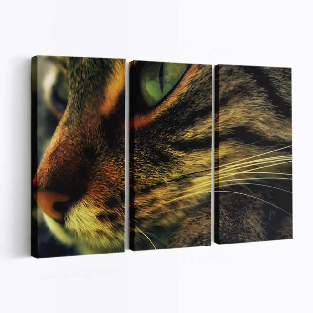 Katzengesicht Fine-Art – Katzen Wandbild