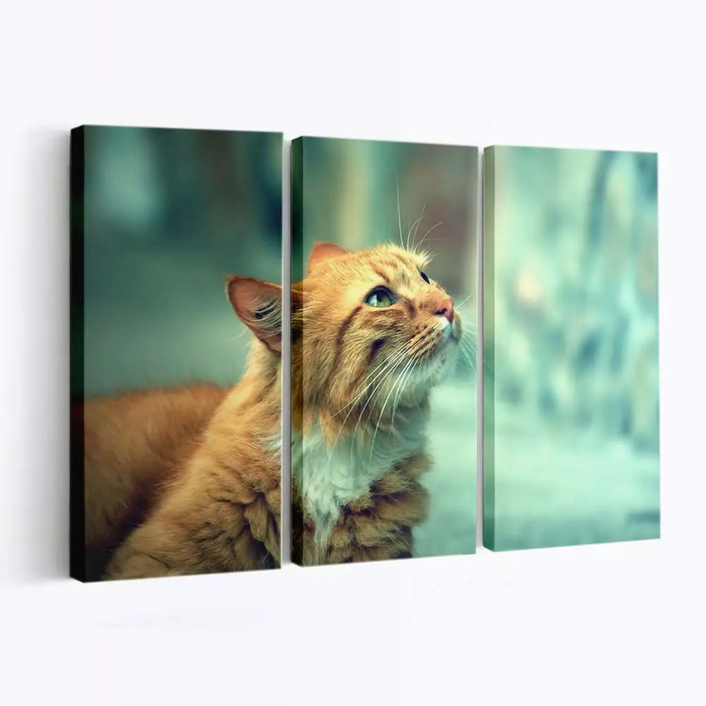 Katzenportrt im Retro-Stil – Katzen Leinwandbild