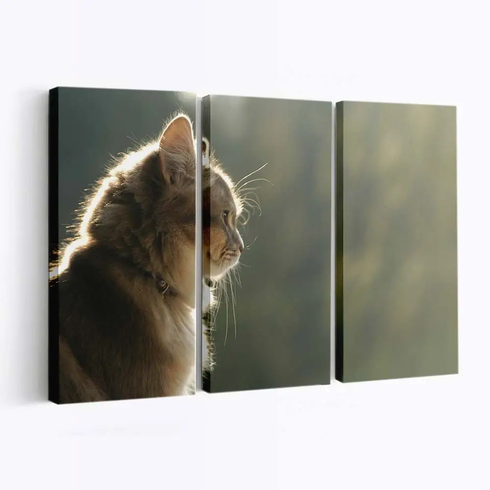 Katzenprofil in Nahaufnahme – Katzen Leinwandbild