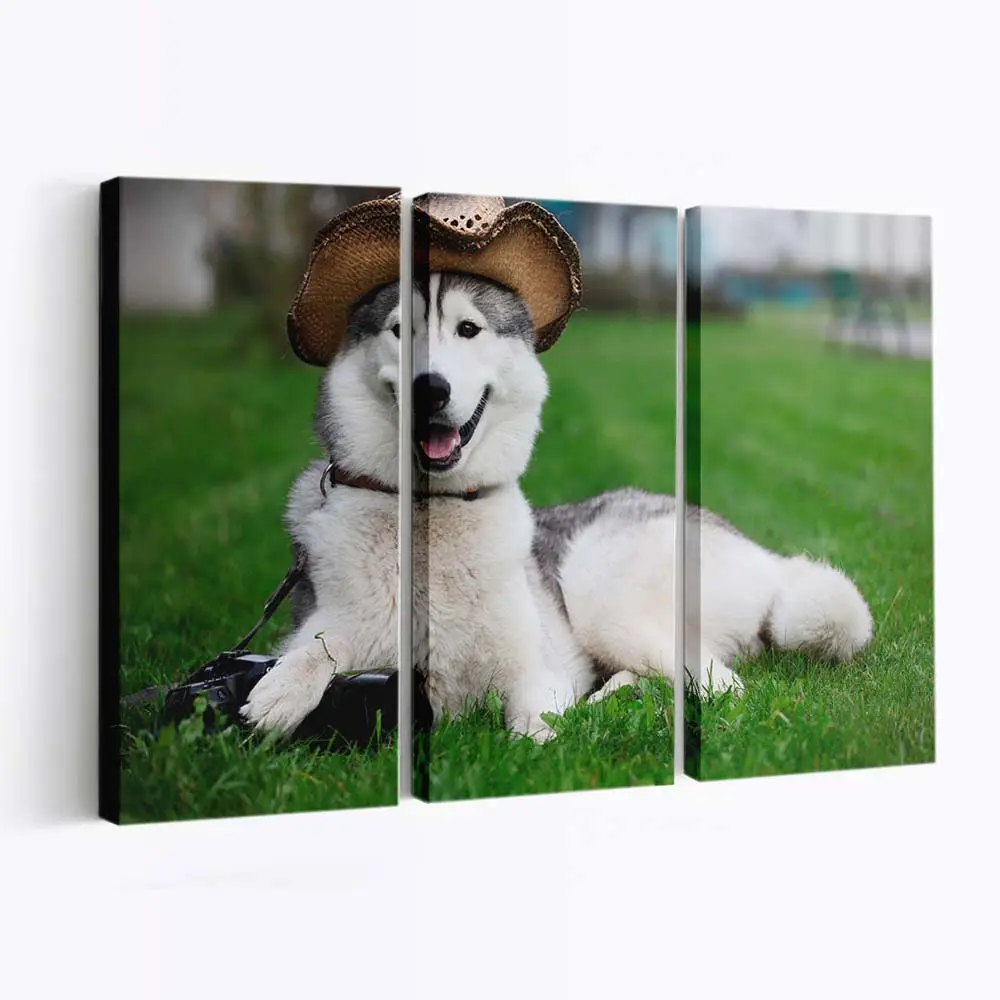 Laika Rollt Sich im Gras – Hunde Wandbild
