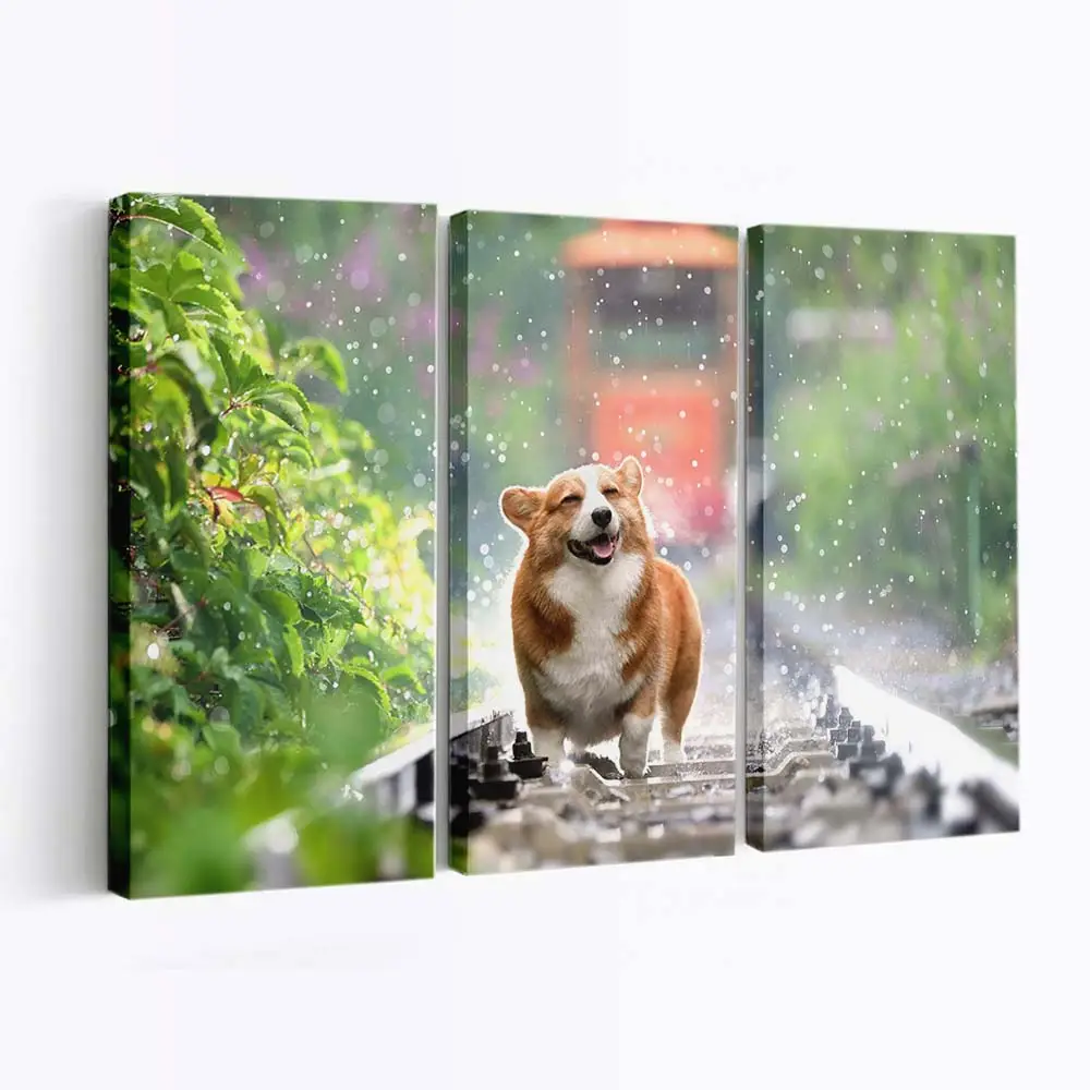 Lchelnder Corgi – Hunde Leinwandbild