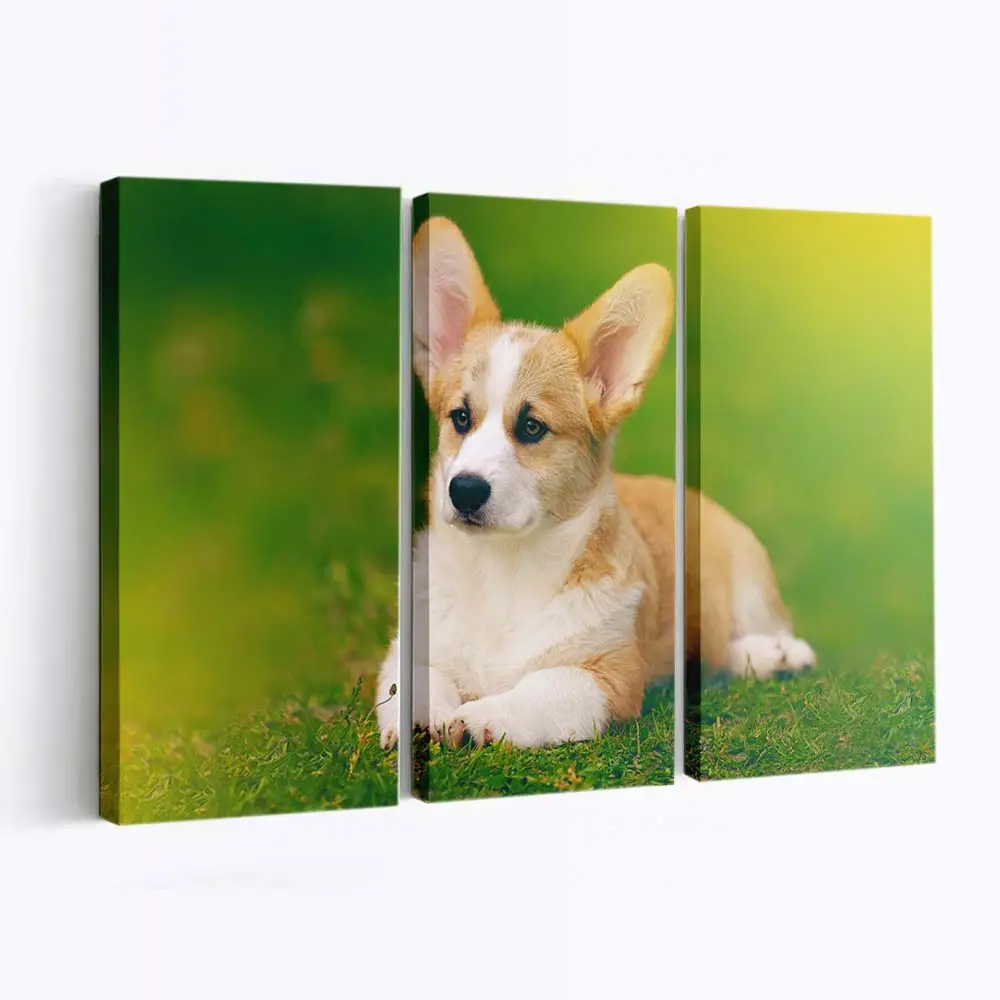 Lchelnder Pembroke Welsh Corgi – Hunde Wandbild