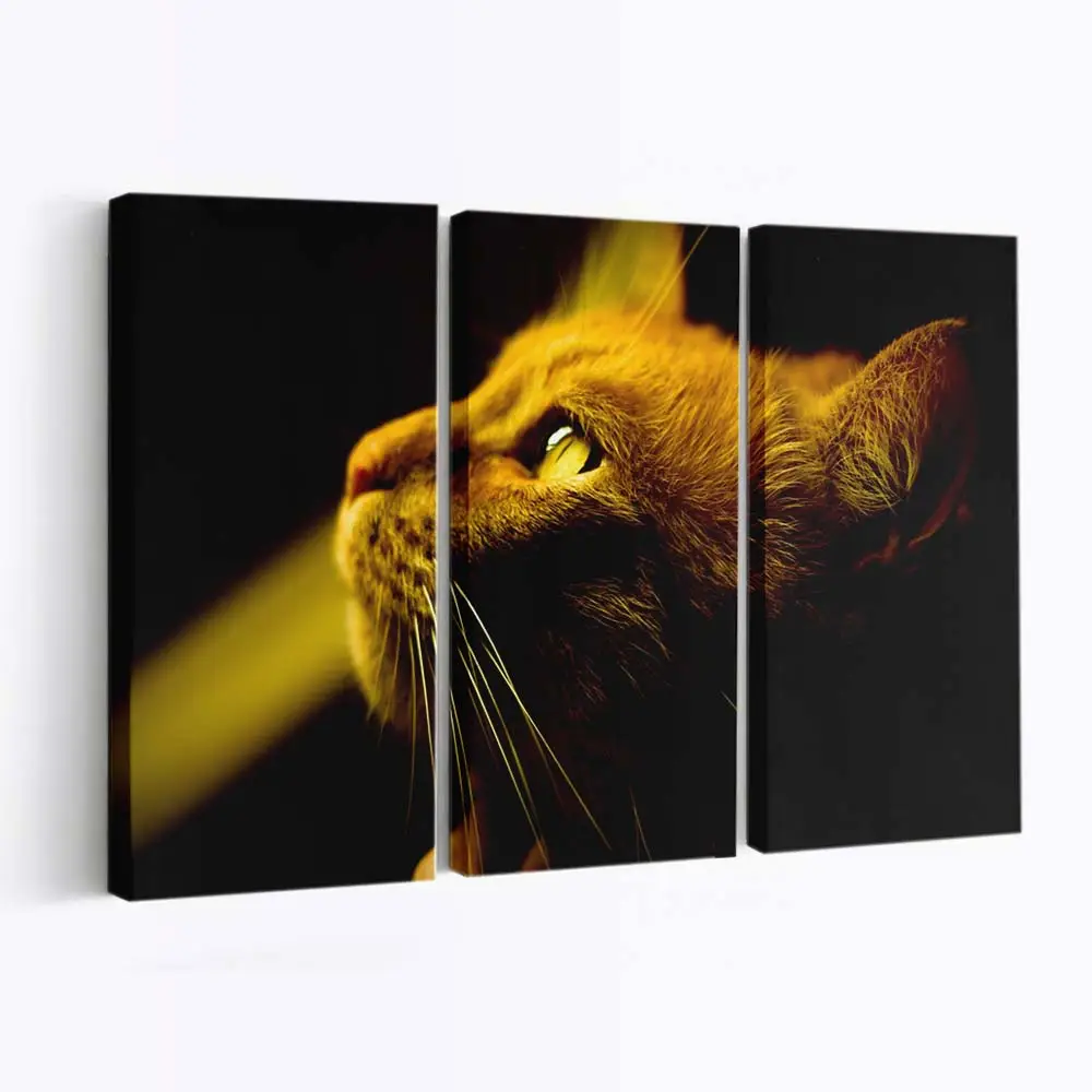 Profil einer Roten Katze – Katzenmotiv Leinwandbild