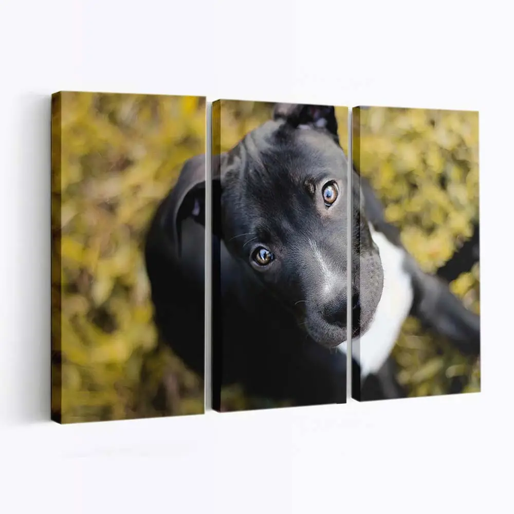 Rennender Verspielter Welpe – Welpen Wandbild