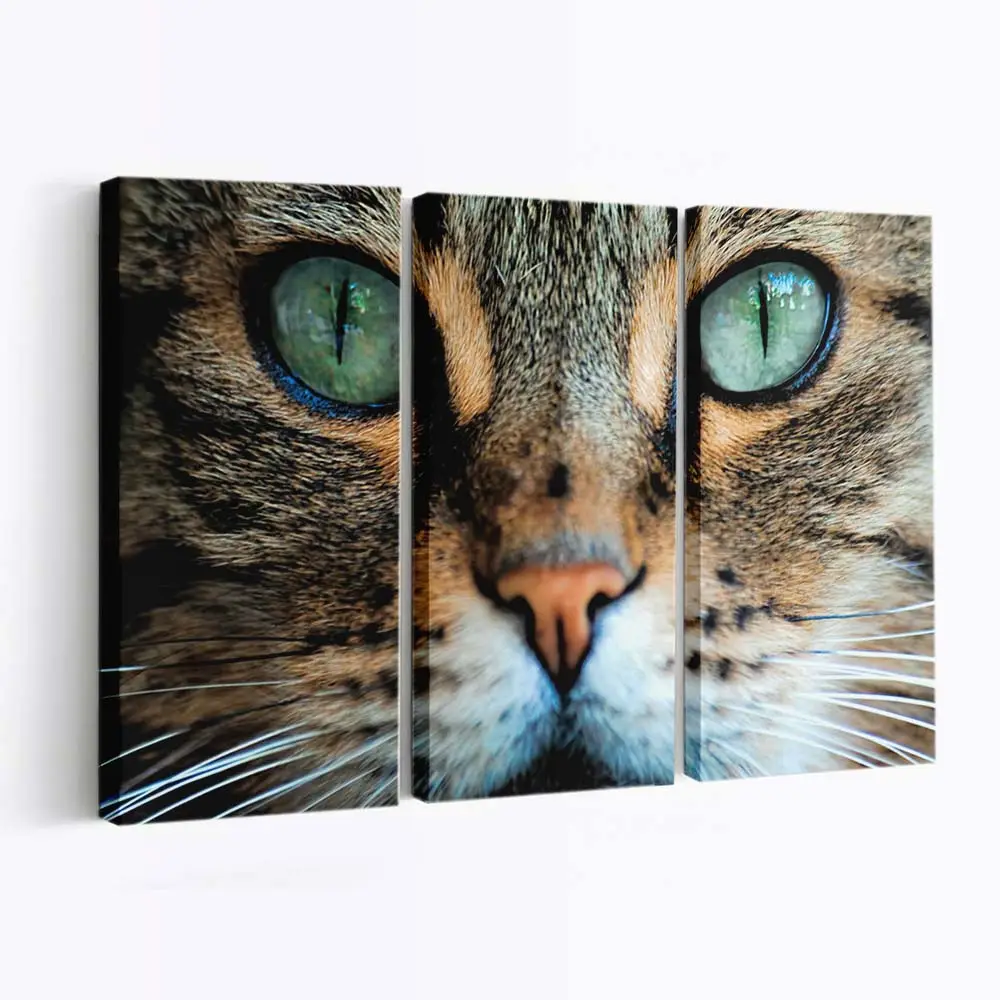 Rote Katze Namens Simba – Katzen Wandbild