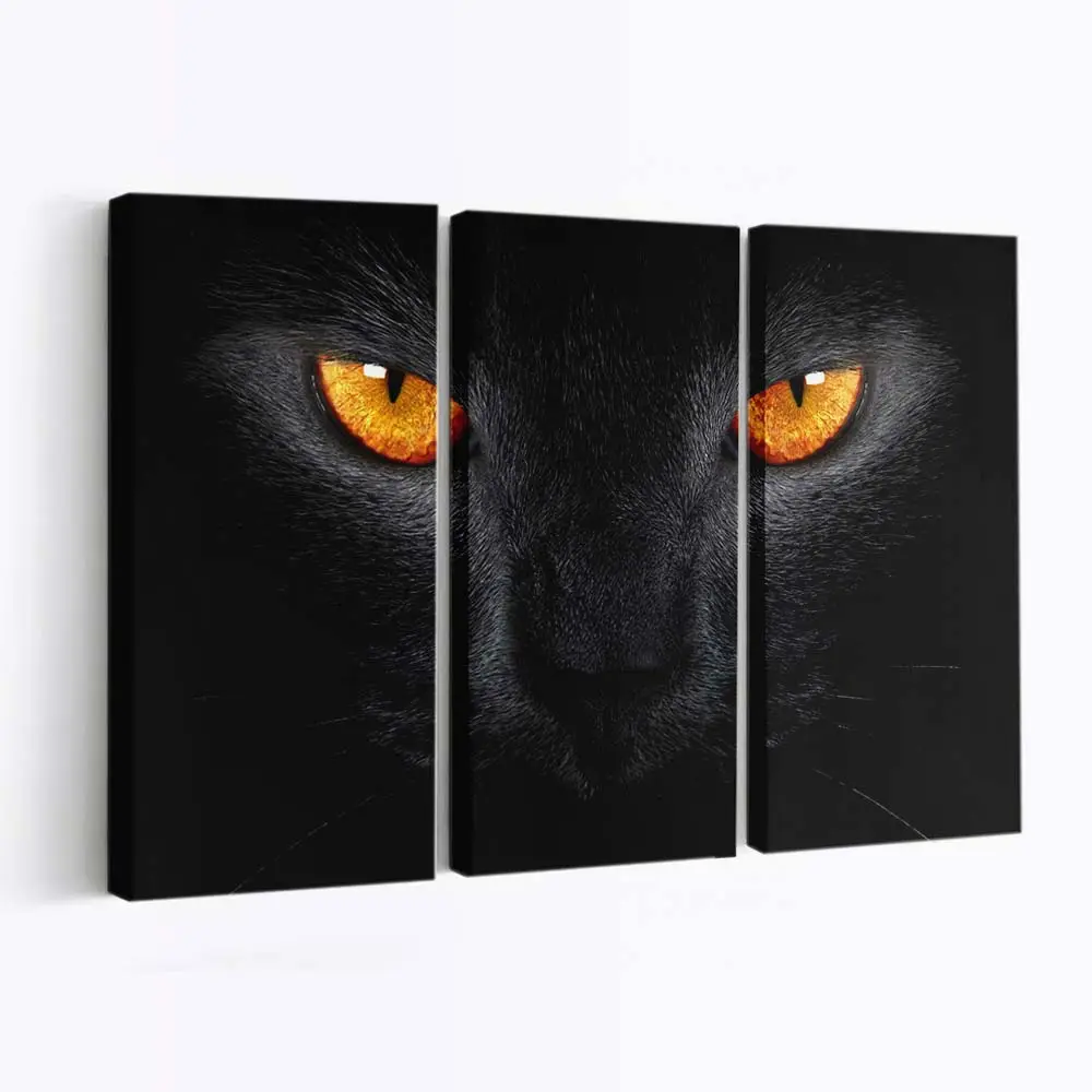 Schwarze Katze Blickt in die Kamera – Katzen Leinwandbild