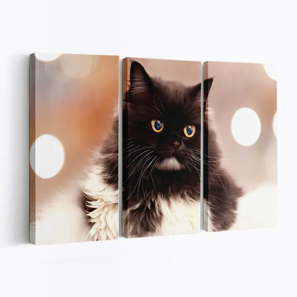 Sitzende Perserkatze – Katzenmotiv Leinwandbild