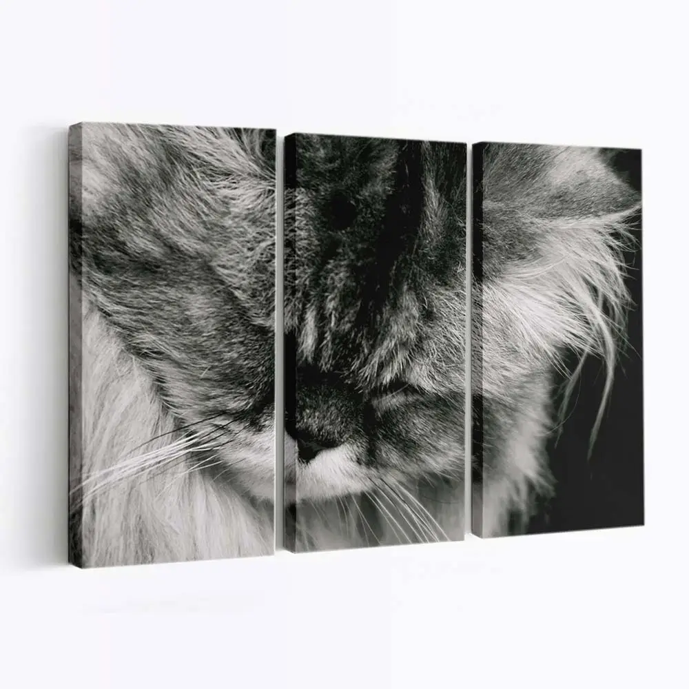 Traurige Katze am Fenster – Katzen Leinwandbild