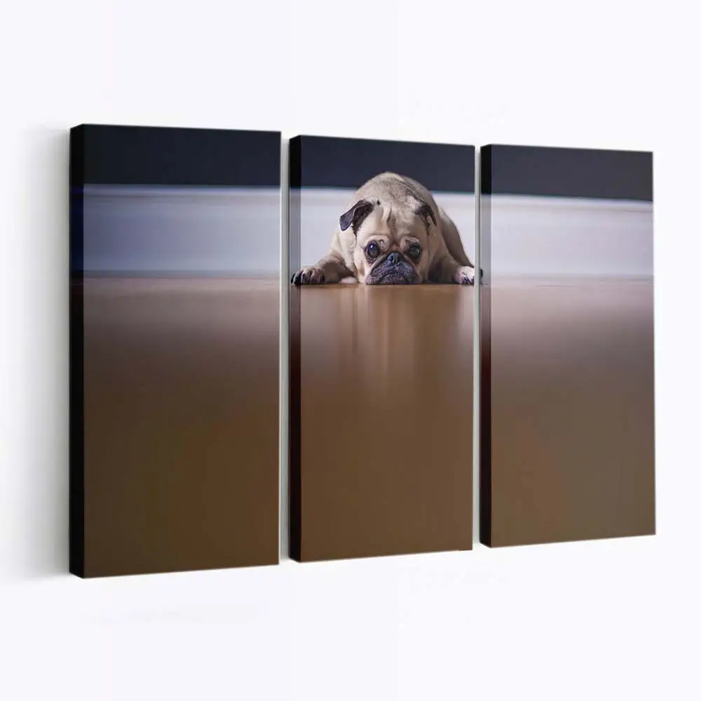 Trauriges Mops Gesicht – Hunde Leinwandbild