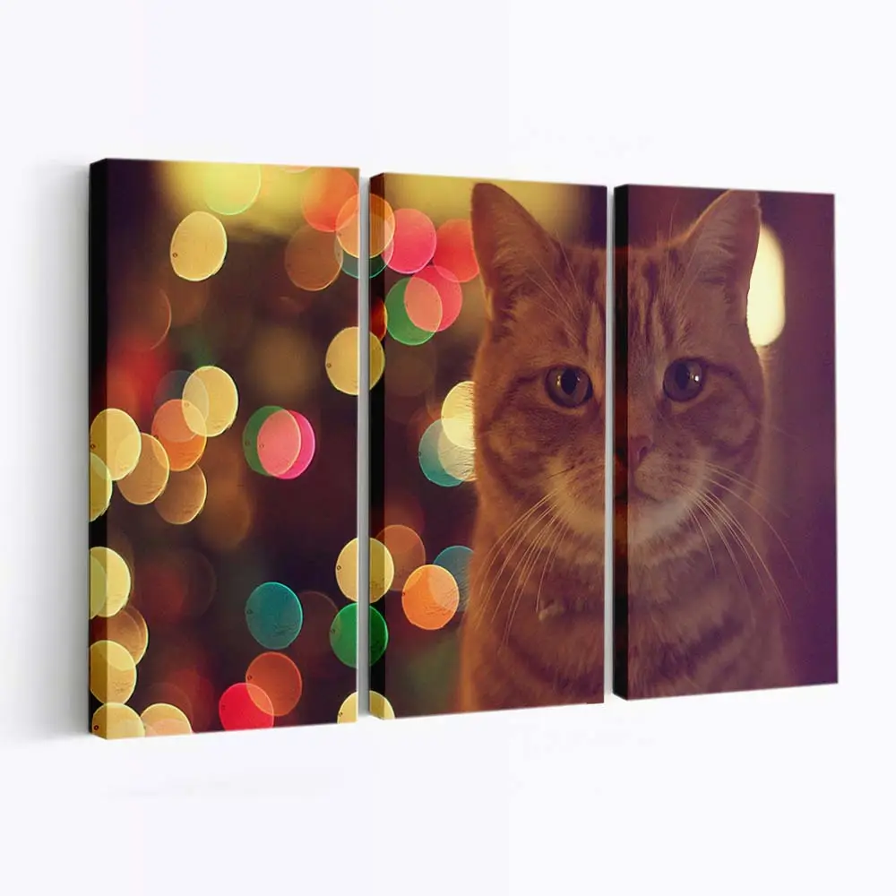 Verspielte Rote Katze – Katzen Leinwandbild