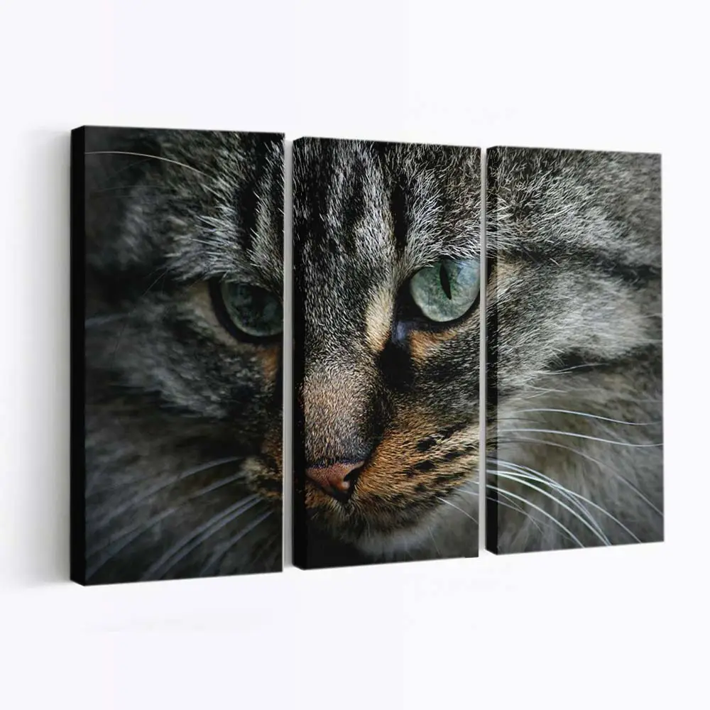 Verspieltes Kätzchen 5 – Kätzchen Wandbild