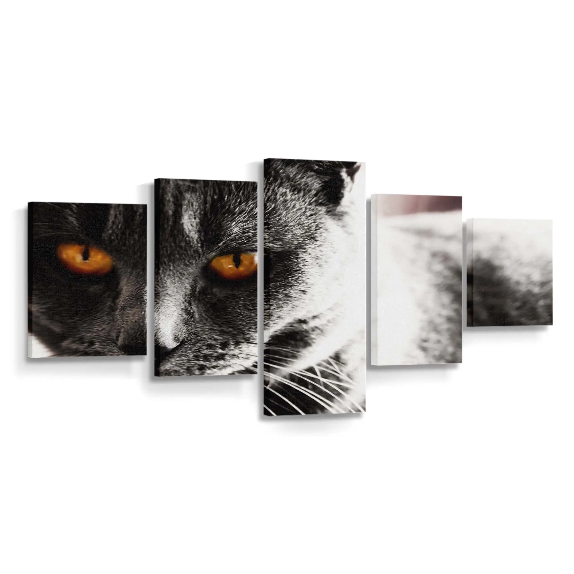 Dunkles Katzenportrt Fine-Art – Katzenmotiv Leinwandbild