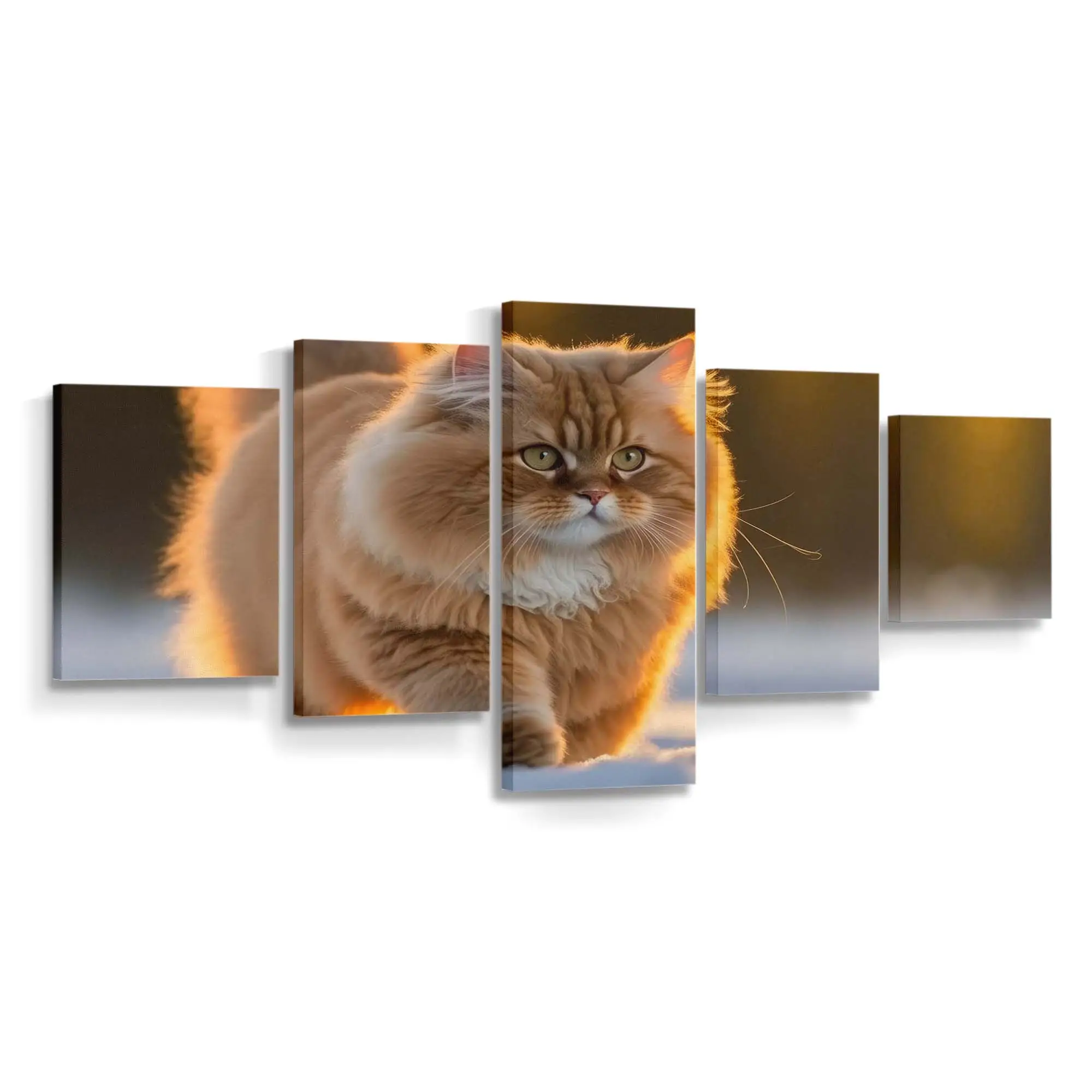 Entspannte Flauschige Katze im Freien – Katzen Wandbild