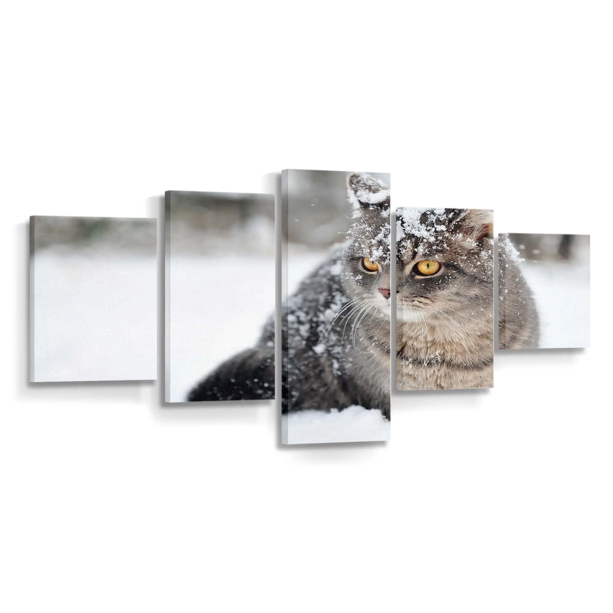 Flauschige Katze im Winterschnee – Katzen Leinwandbild