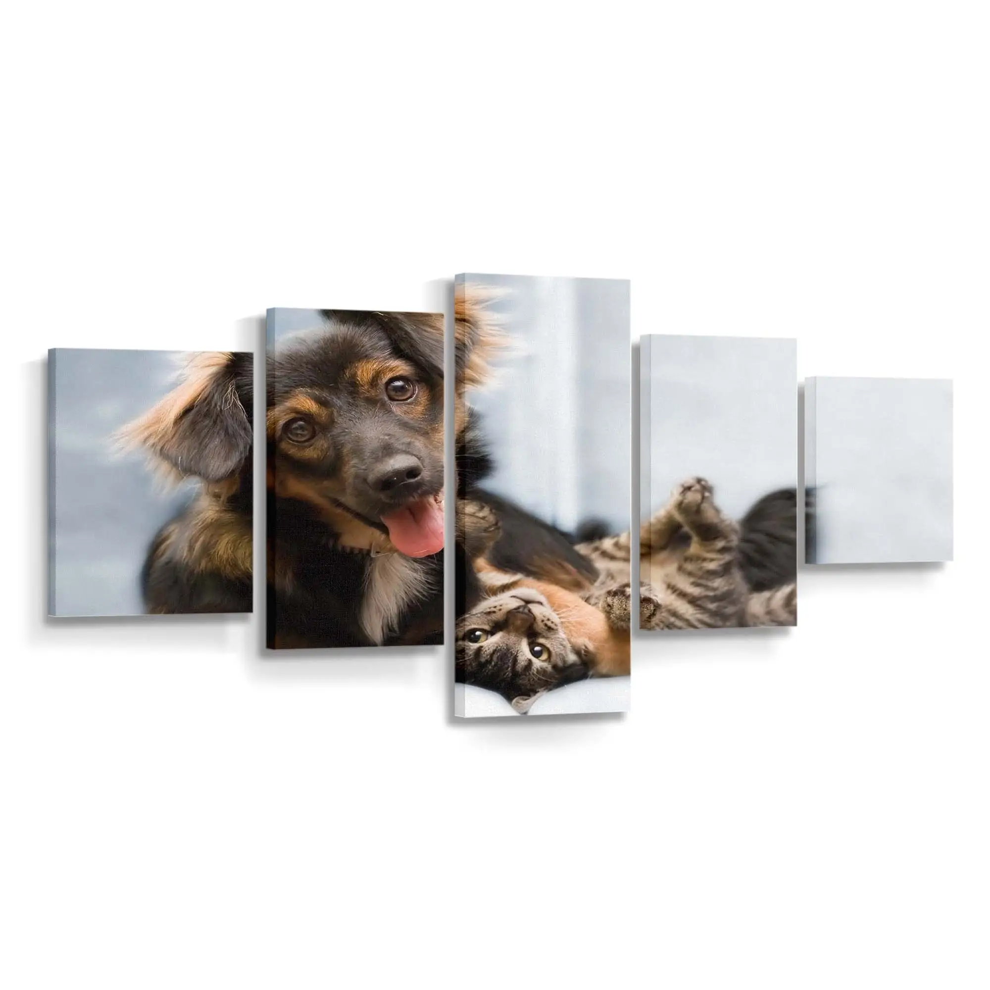 Freundschaft zwischen Hund und Katze – Tierfreundschaft Leinwandbild