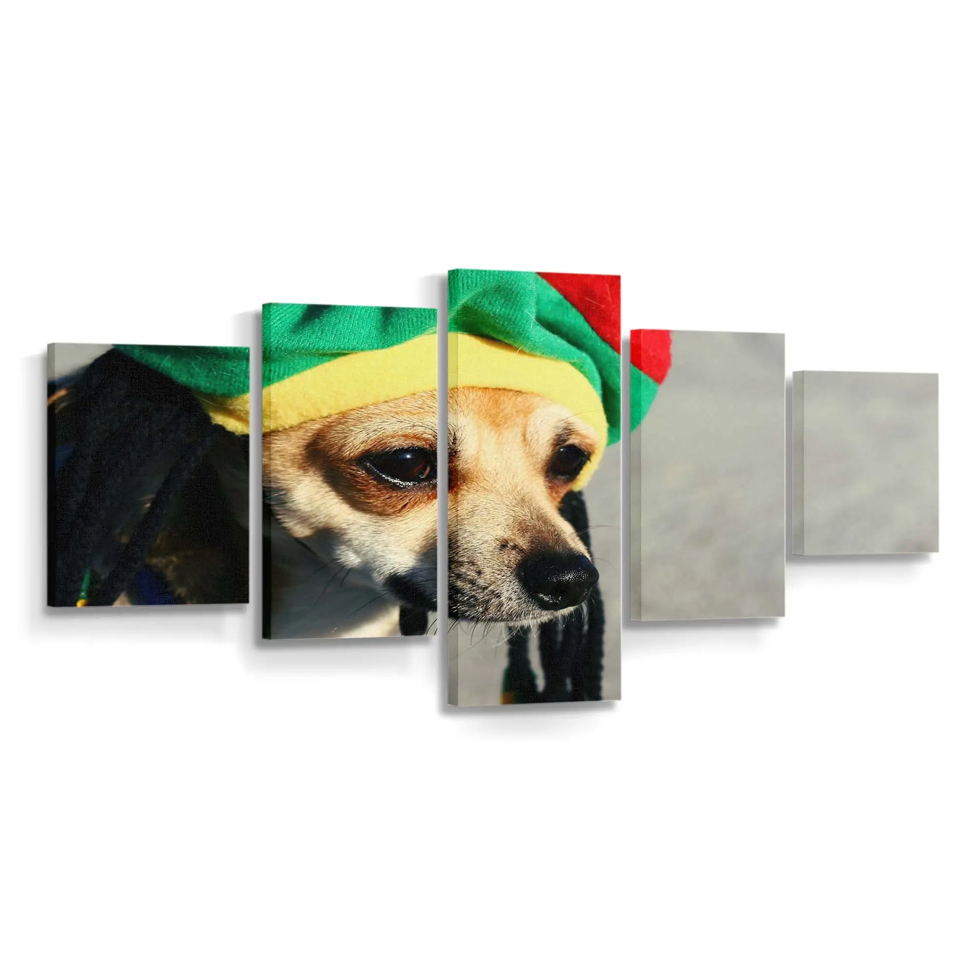 Hund mit Rasta Locken – Hundemotiv Leinwandbild