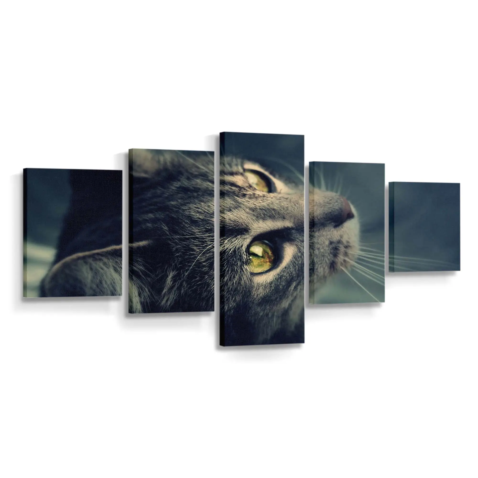 Katze Blickt aus dem Fenster – Katzen Leinwandbild