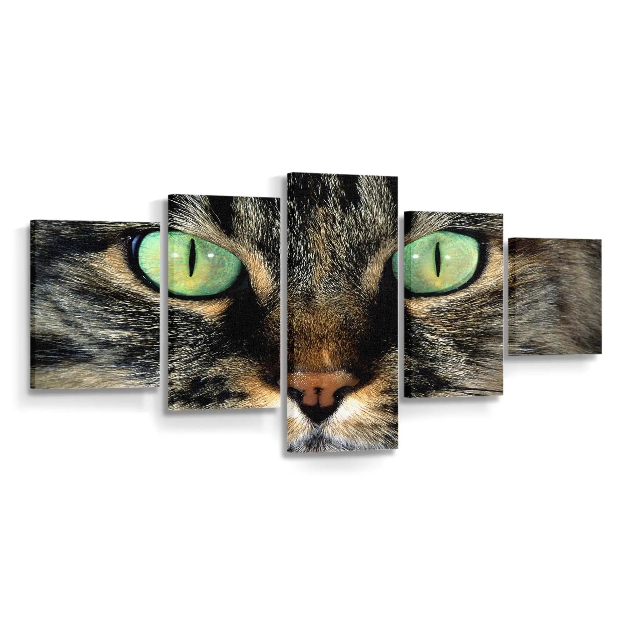 Katze mit Hellgrünen Augen – Katzen Wandbild