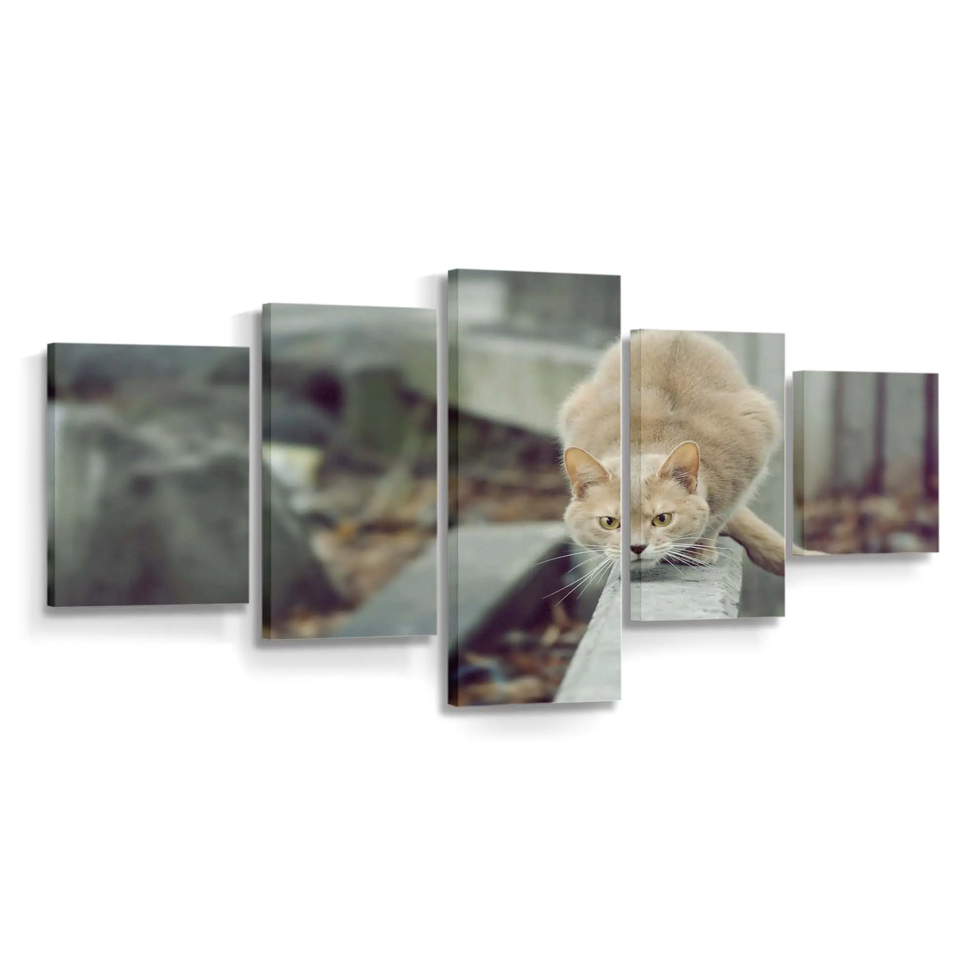Katze mit Intensivem Jagdblick – Katzen Leinwandbild