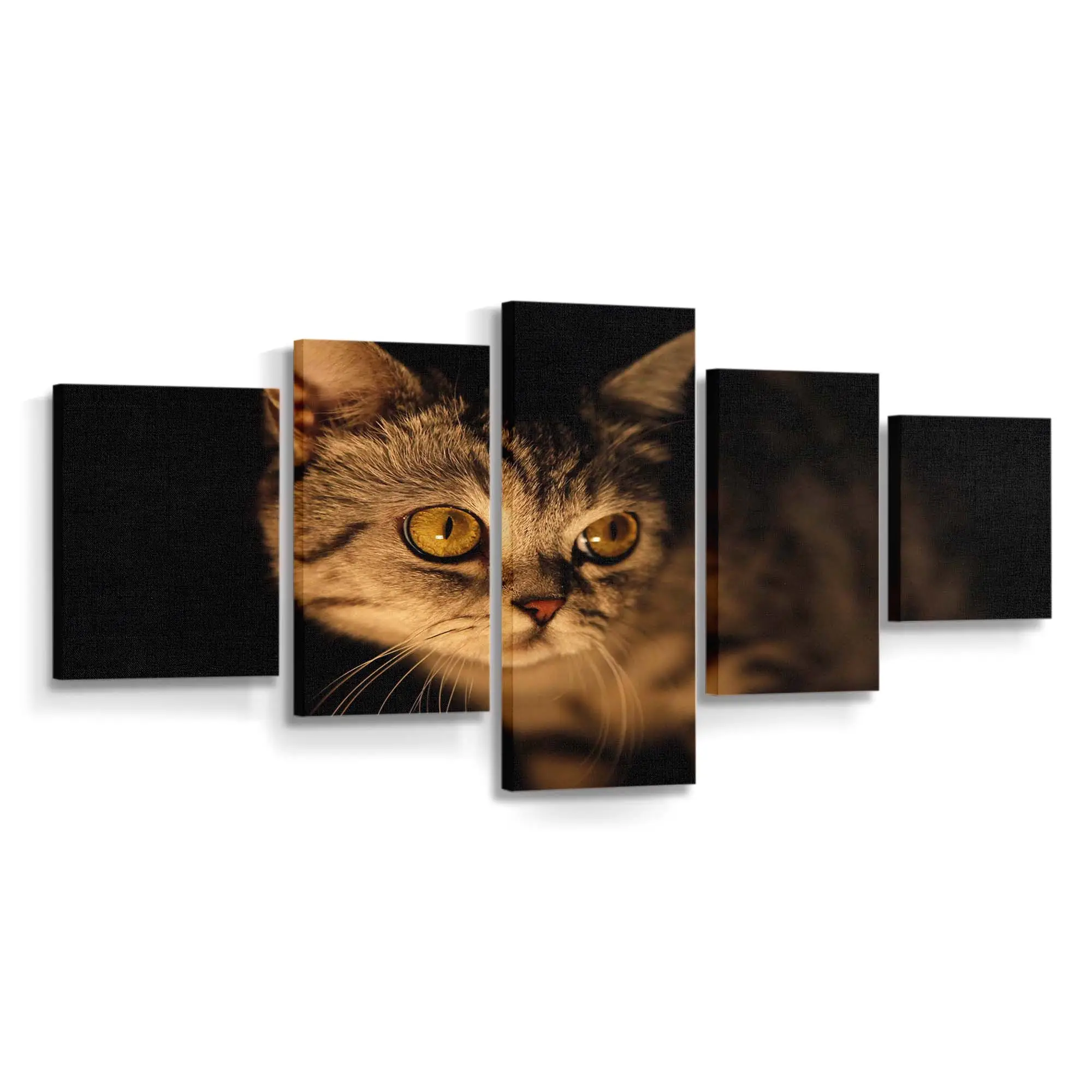 Katze Tritt aus dem Schatten – Katzen Wandbild