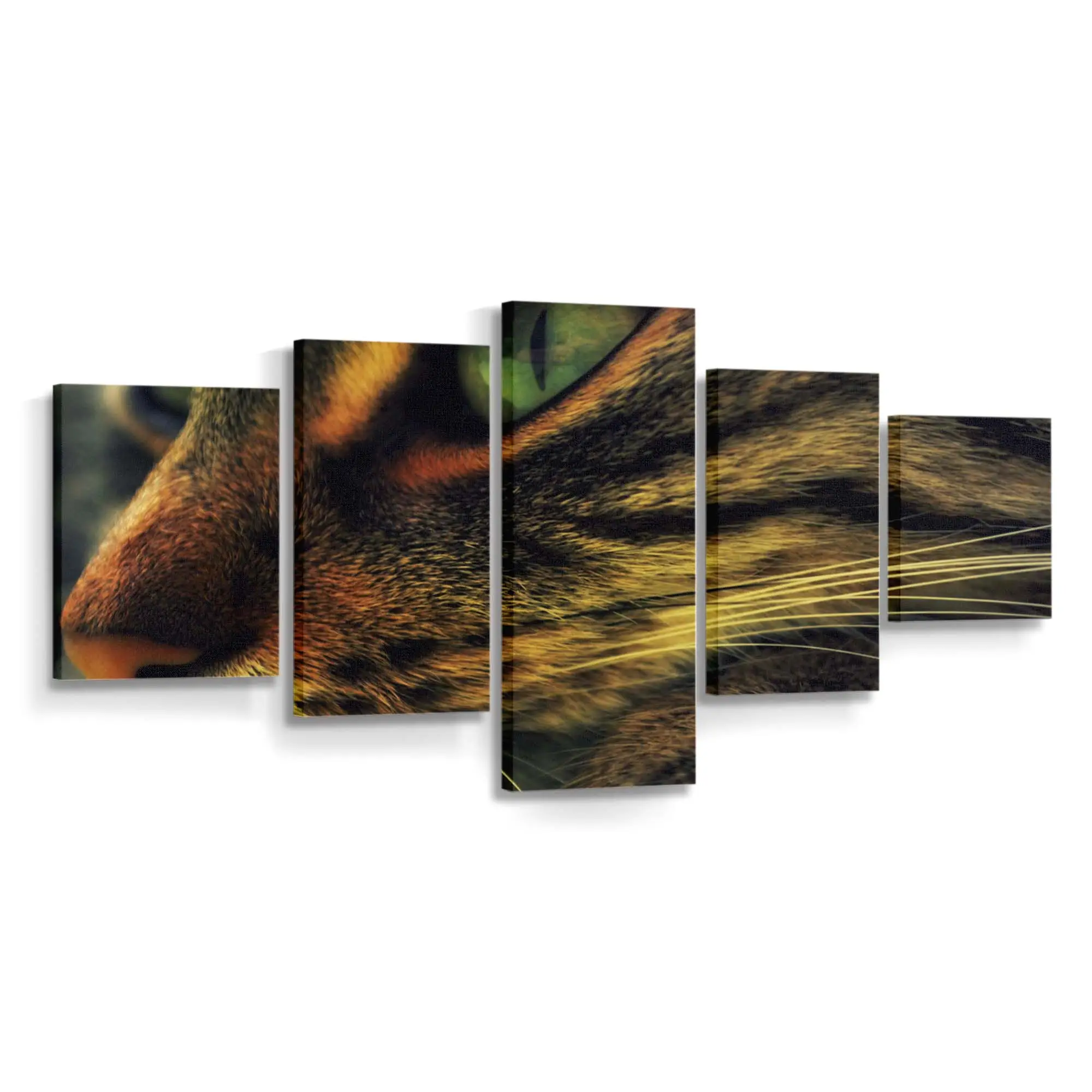 Katzengesicht Fine-Art – Katzen Wandbild