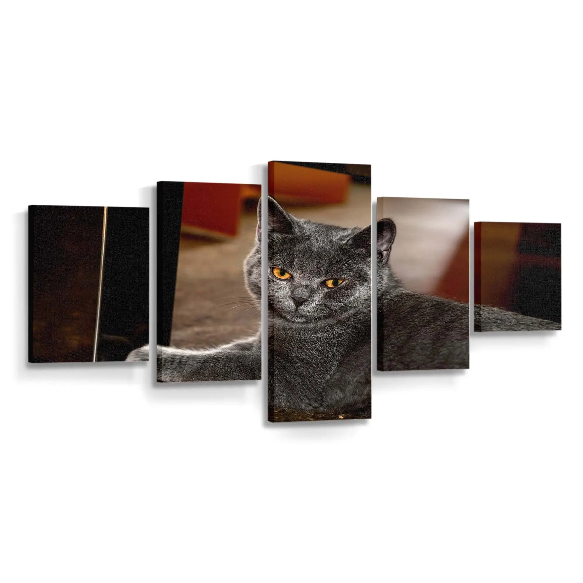 Katzenportrt Fine-Art – Katzenmotiv Leinwandbild