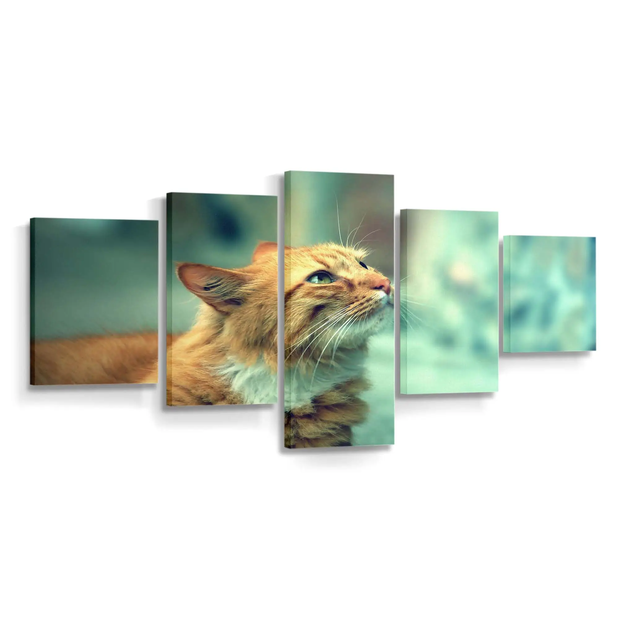 Katzenportrt im Retro-Stil – Katzen Leinwandbild
