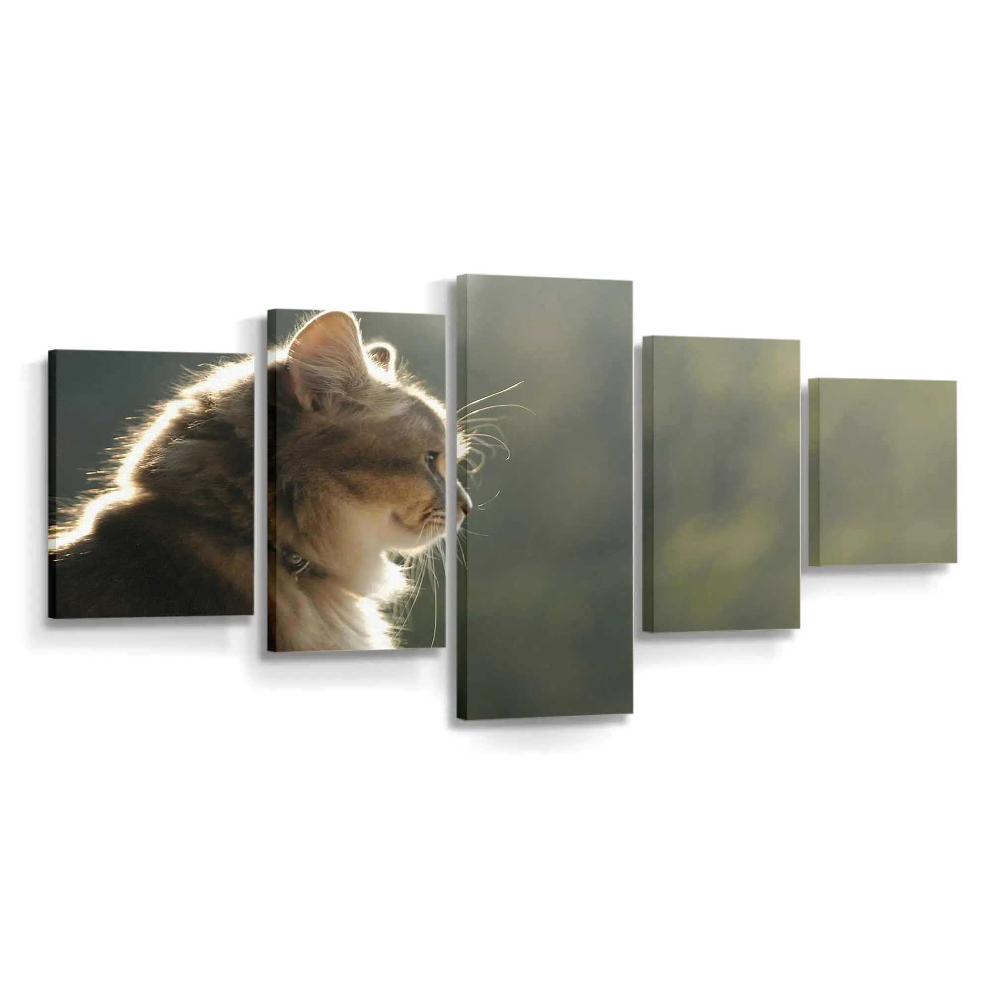 Katzenprofil in Nahaufnahme – Katzen Leinwandbild