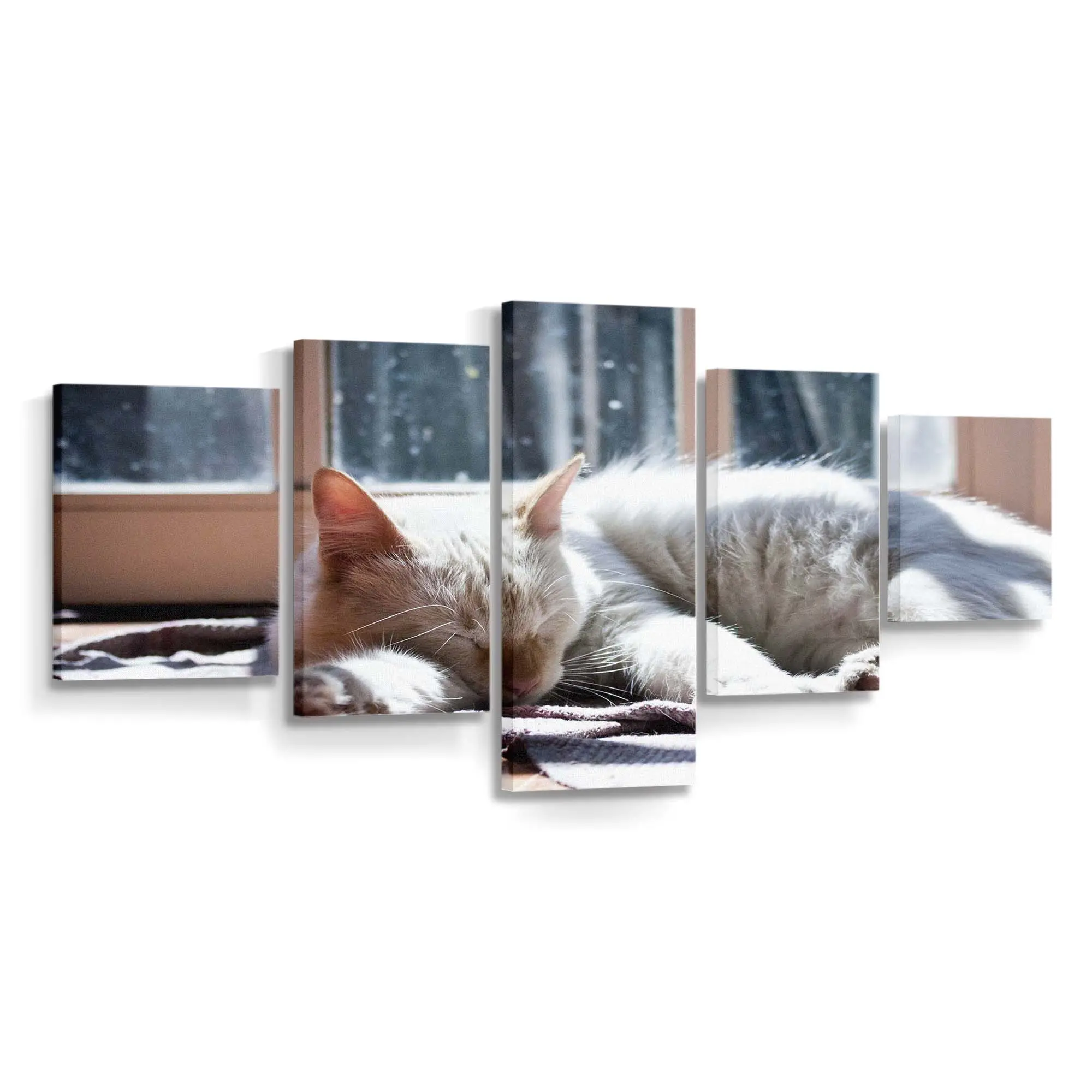 Kuschelnde Katze und Hund – Tierpaar Wandbild