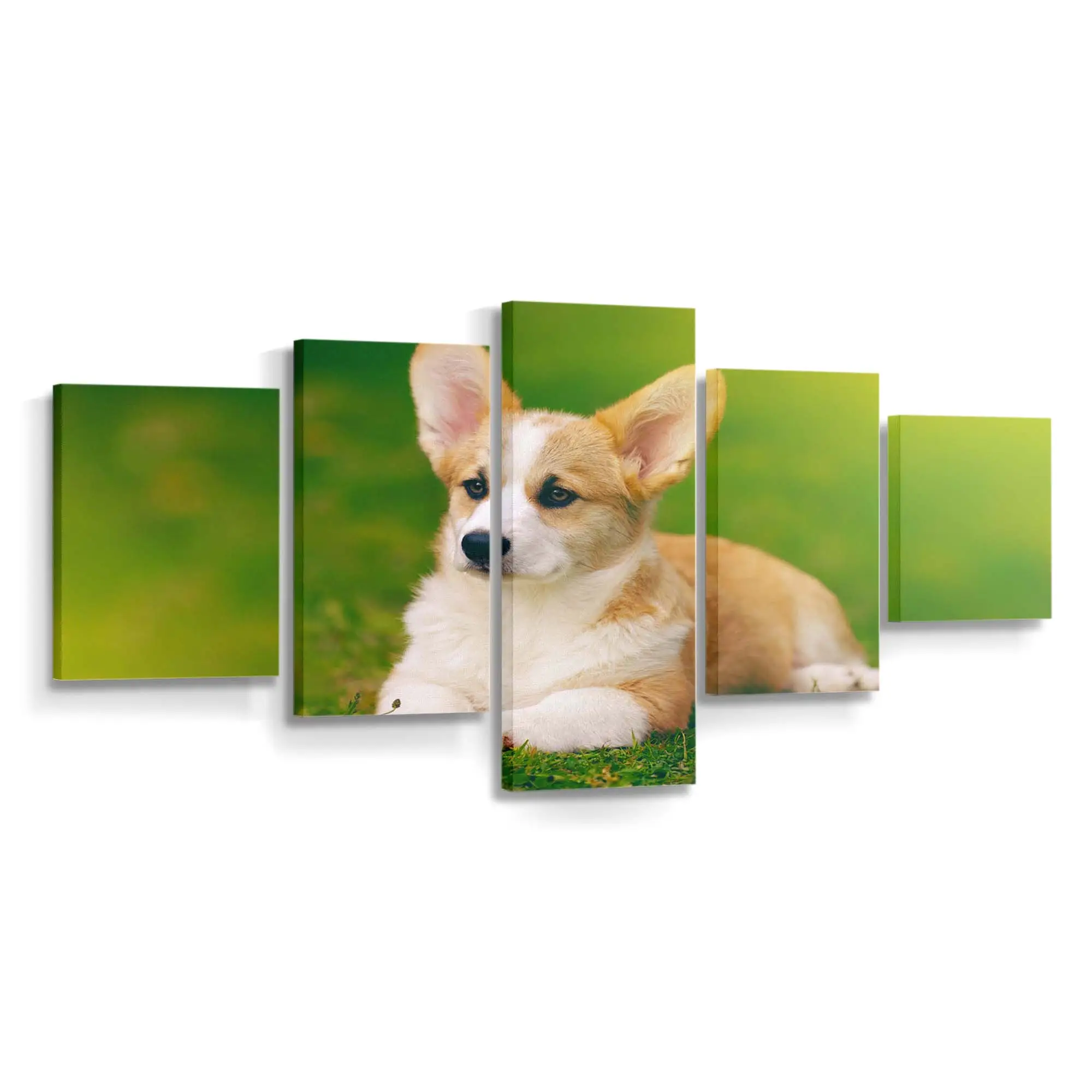 Lchelnder Pembroke Welsh Corgi – Hunde Wandbild