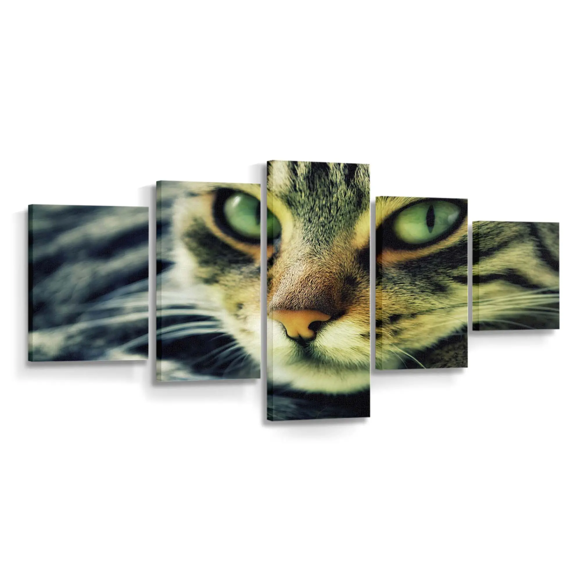Nachdenkliche Katze Blickt zur Seite – Katzen Wandbild