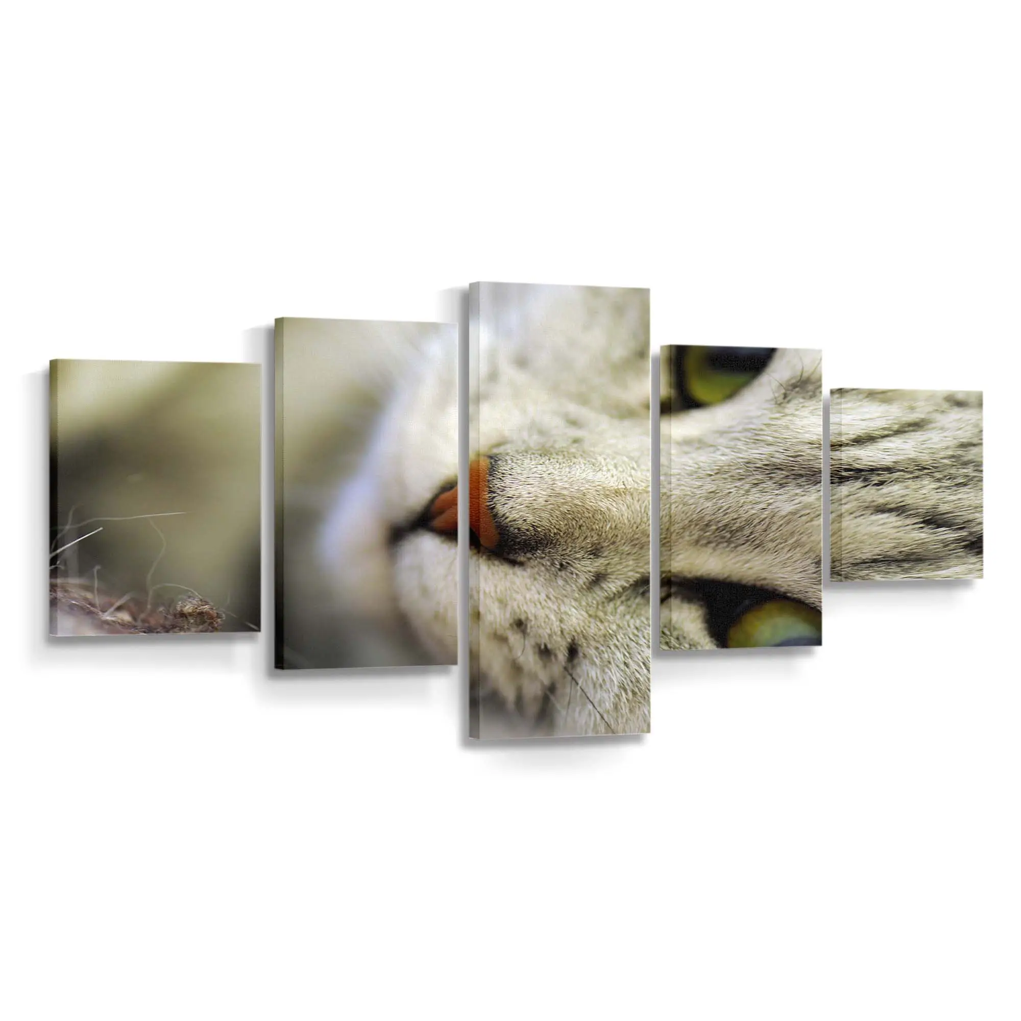 Posierende Katze – Katzen Wandbild