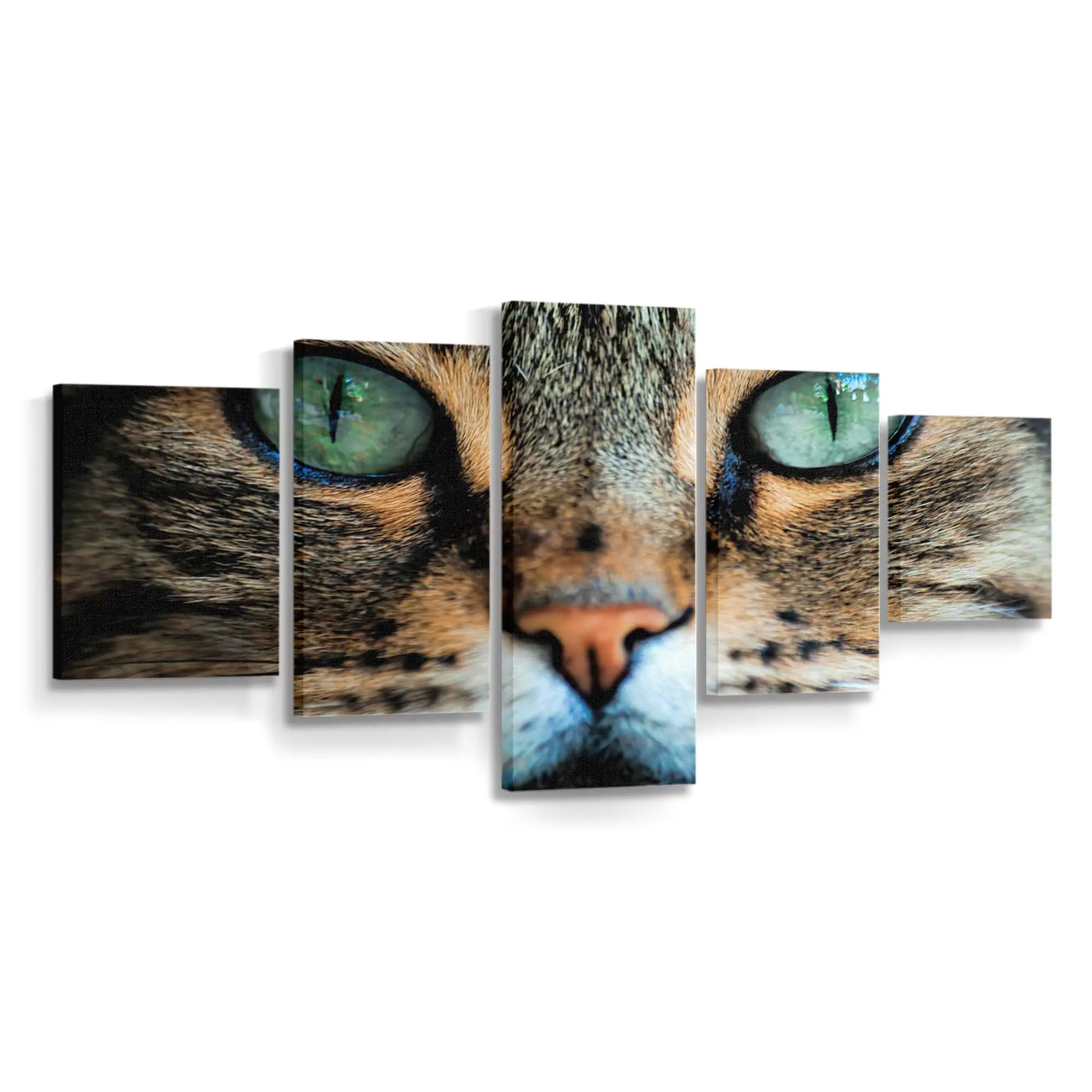 Rote Katze Namens Simba – Katzen Wandbild