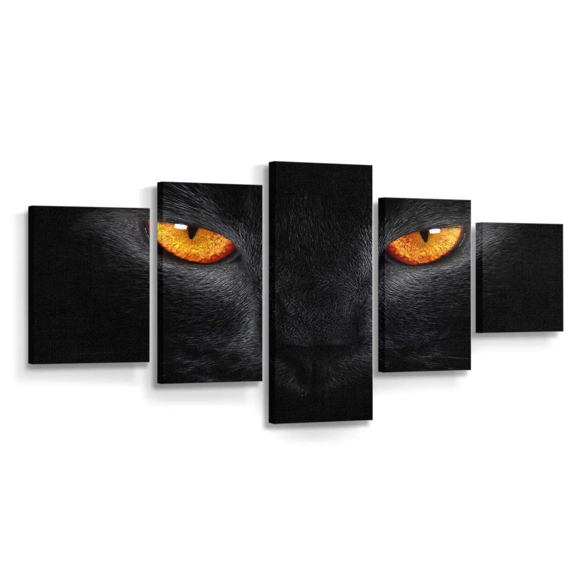 Schwarze Katze Blickt in die Kamera – Katzen Leinwandbild