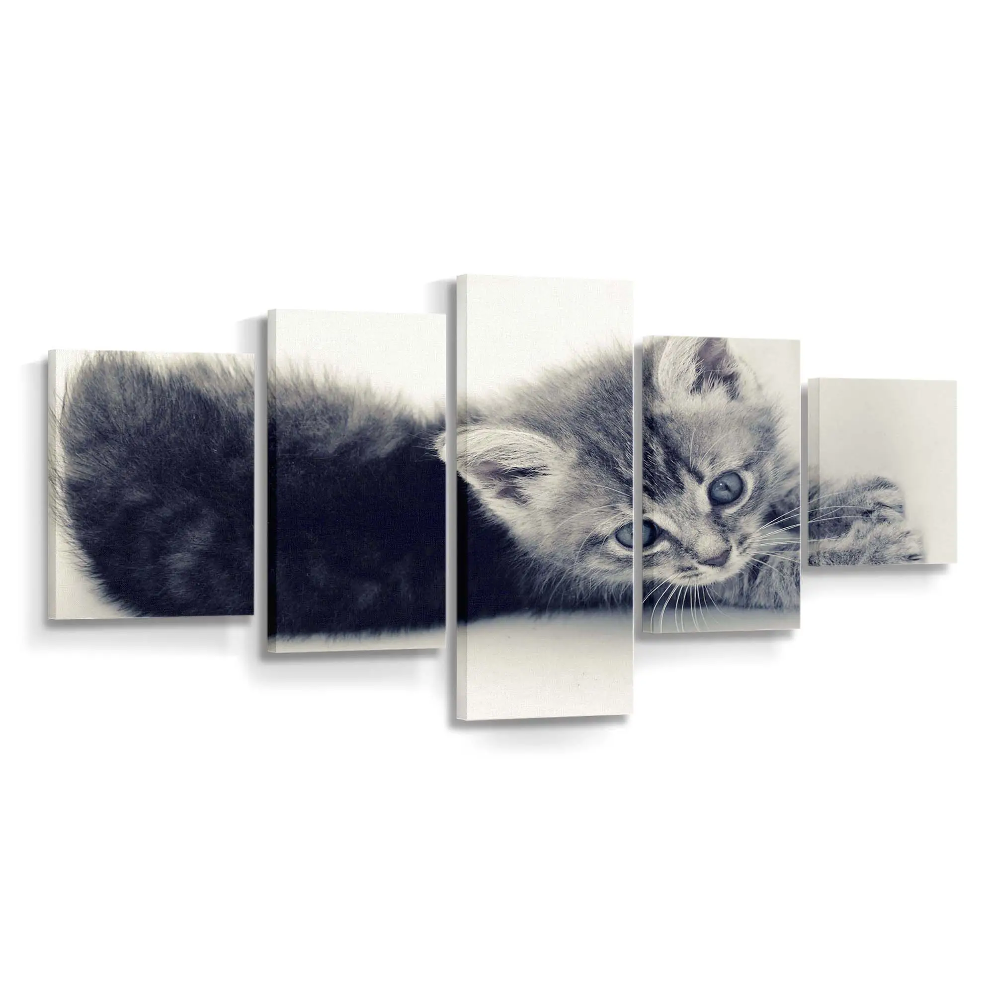 Süßes Kätzchengesicht – süßes Katzenmotiv Leinwandbild