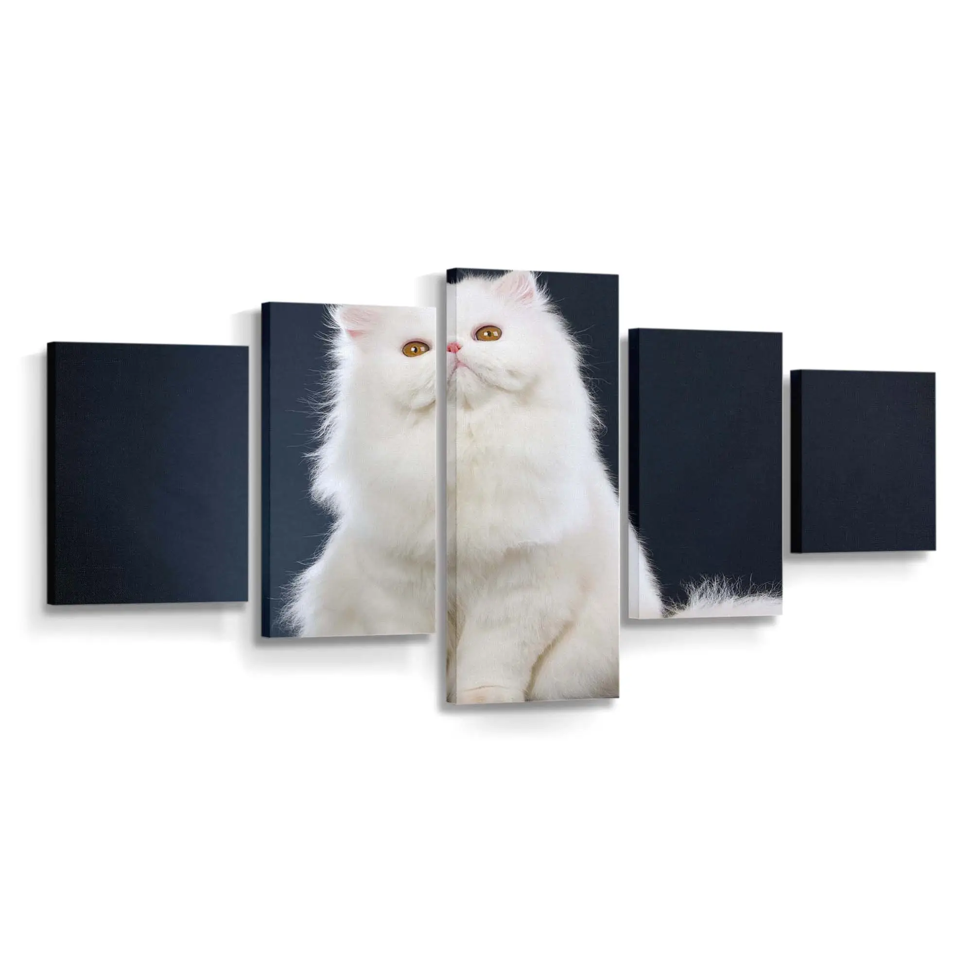 Sitzende Weiße Flauschige Katze – Katzen Leinwandbild