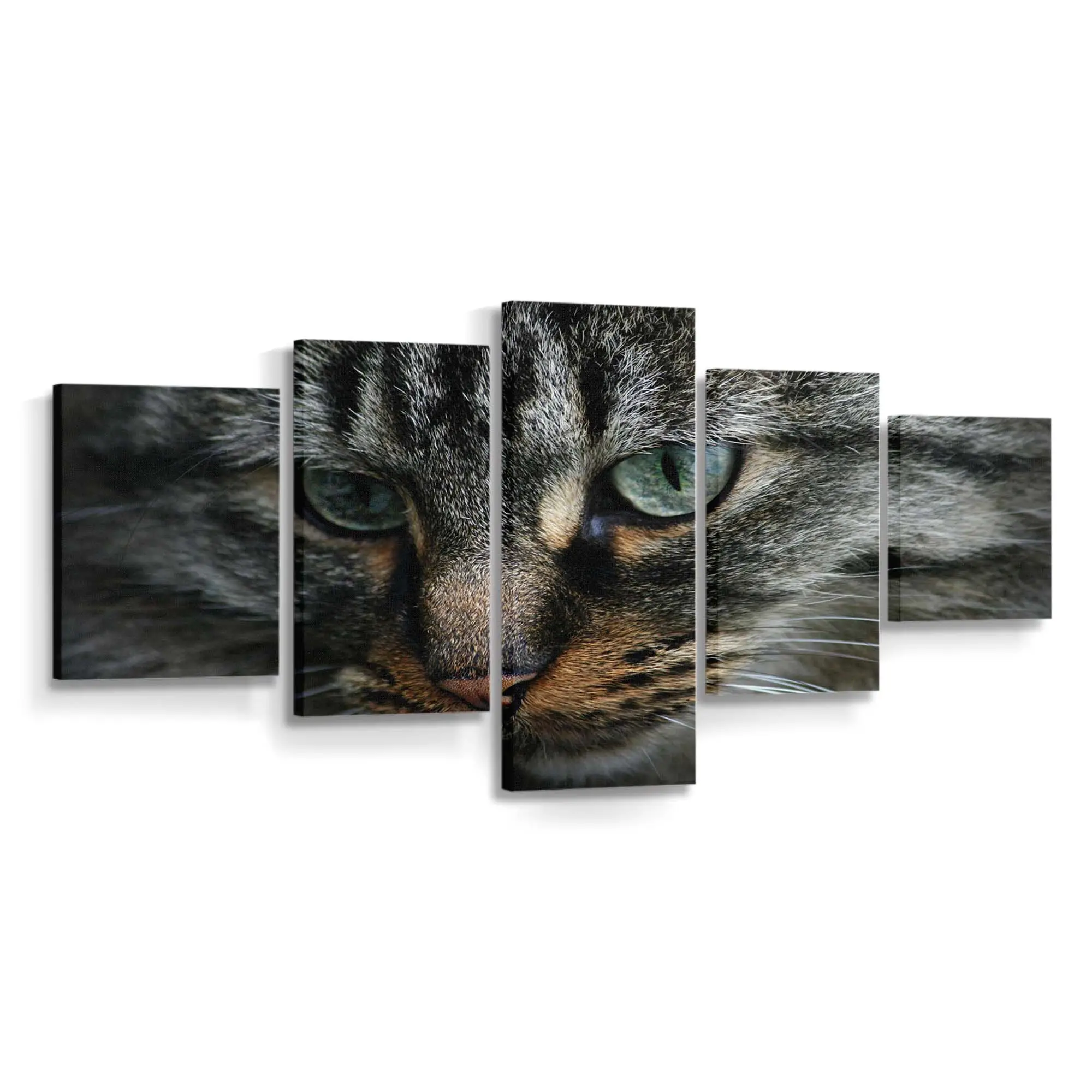 Verspieltes Kätzchen 5 – Kätzchen Wandbild