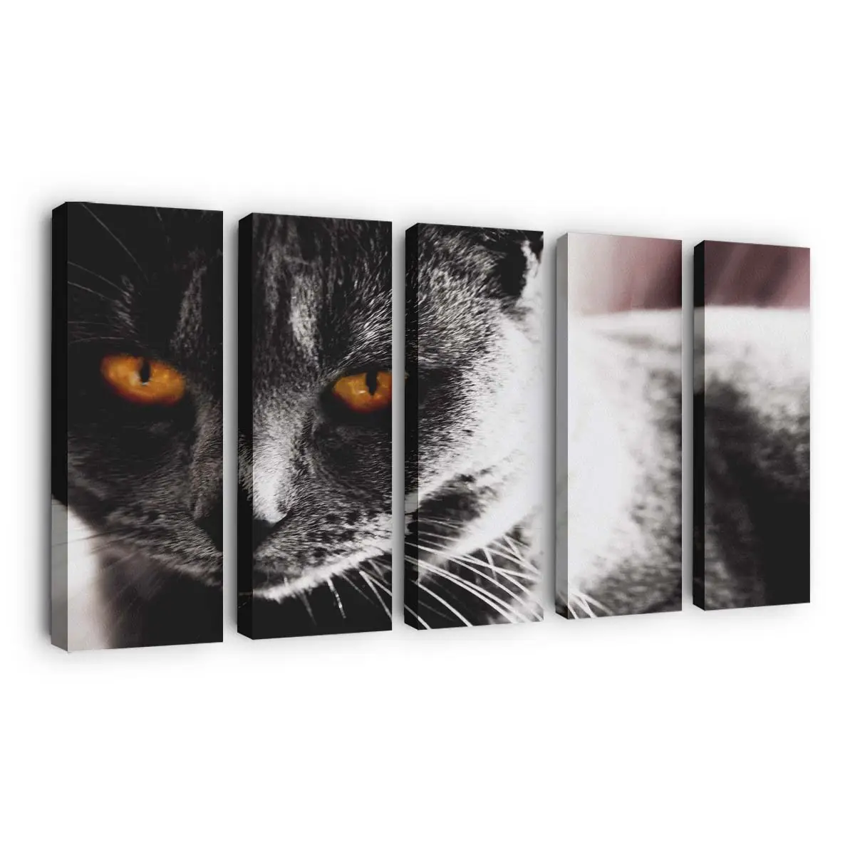 Dunkles Katzenportrt Fine-Art – Katzenmotiv Leinwandbild