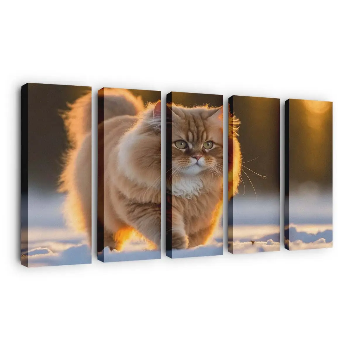 Entspannte Flauschige Katze im Freien – Katzen Wandbild