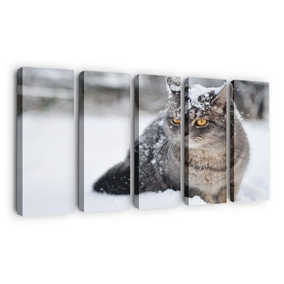 Flauschige Katze im Winterschnee – Katzen Leinwandbild