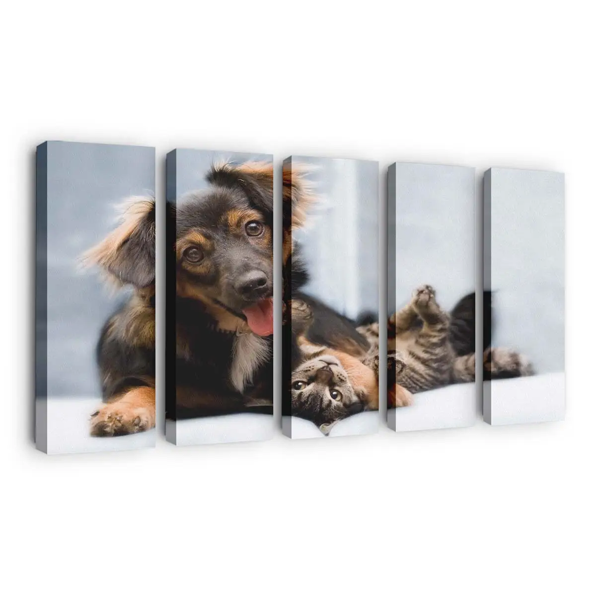 Freundschaft zwischen Hund und Katze – Tierfreundschaft Leinwandbild