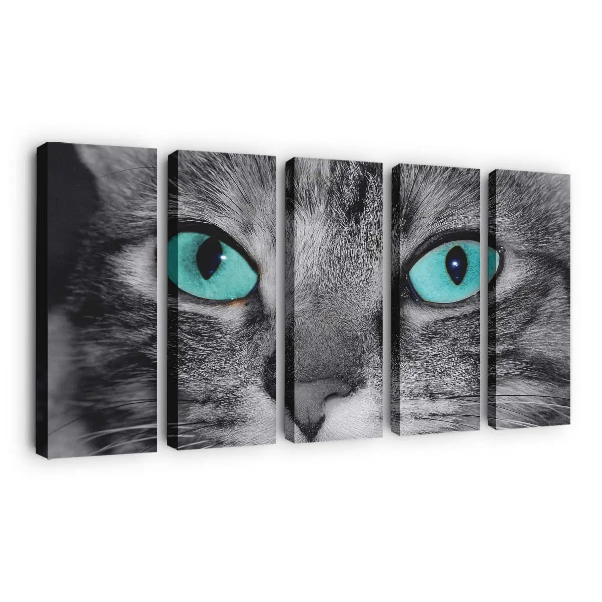 Gesicht einer Grauen Getigerten Katze – Katzenmotiv Leinwandbild