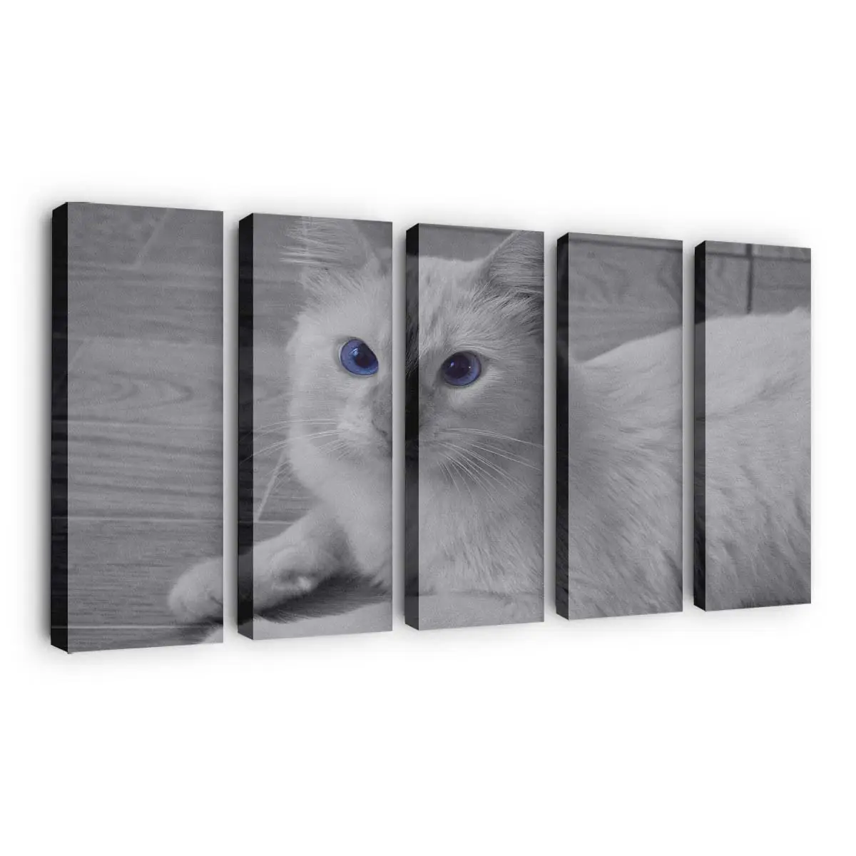 Katze mit Blauen Augen – Katzenmotiv Leinwandbild