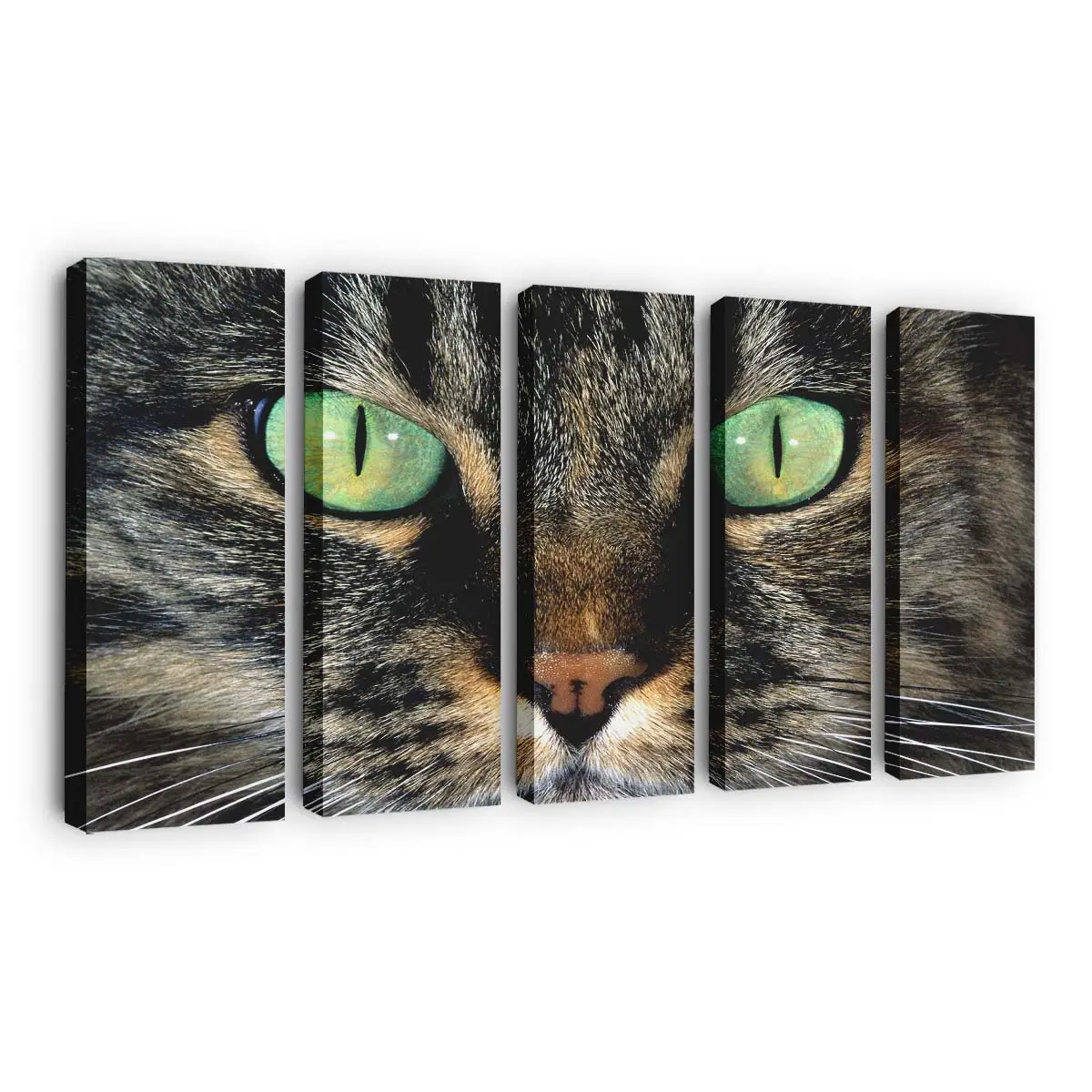 Katze mit Hellgrünen Augen – Katzen Wandbild