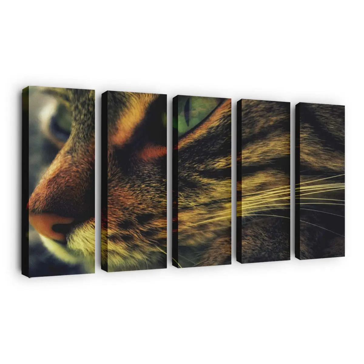 Katzengesicht Fine-Art – Katzen Wandbild