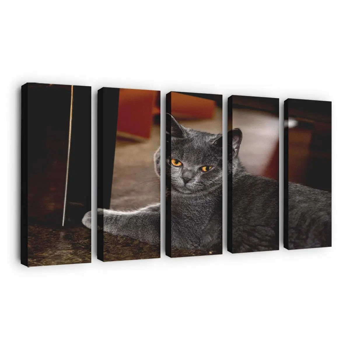 Katzenportrt Fine-Art – Katzenmotiv Leinwandbild
